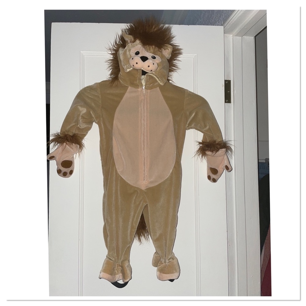 Furry Lion Costume Size 12months